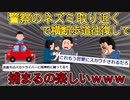 ワイ無職、警察がネズミ取りやってる場所の近くの横断歩道を往復する遊びにハマる
