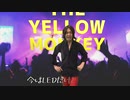 THE  YELLOW  MONKEY あるある