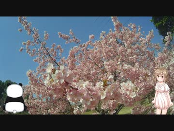 【CeVIO車載】この空が私の知らない世界へ続く路　京築アグリライン・静豊園