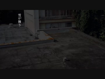 【第二回10秒動画投稿祭】雪が舞う【ホラー】