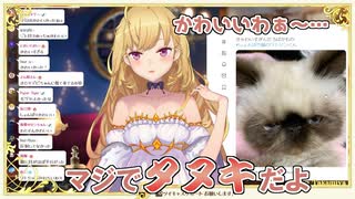 【猫】成長してるワトソンくんを自慢してくる鷹宮リオン【にじさんじ切り抜き】