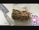 珍食材が食べたい！#77　ツクシの卵とじ