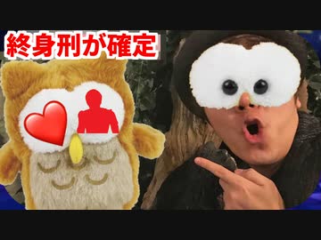 結果　初めて(ものまね)フクロウカフェ行ってみたら終身刑が確定