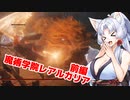 【ELDEN RING】美少女大剣士台北イタコ#8