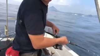 前転しながら海に落ちました。