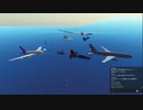 遊覧飛行の様子