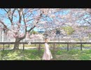 【音都りこ】ハルイチ。 踊ってみた【桜】