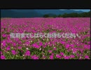 ｸﾁｭﾝｯ【1分耐久】