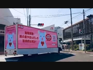 ホモと見るヴィーガンカー