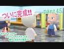 ポケットモンスター ブリリアントダイヤモンドを懐かしみながら実況プレイ　part45