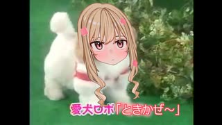 愛犬ロボ「ときかぜ」