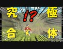 究極合体　ピカチュウ【Pokémon LEGENDS アルセウス】