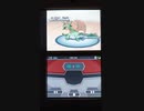 Pokémon White 2 - Wi-Fi Train Match