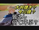 今更始めるマリオカート８DX実況 part 23