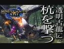 【STEAM版】モンハンライズ『ステルス古龍に杭を撃て！』