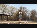 【ぴよちゃん】tick tack　tick tack　円を描いて ding dong　ding dong　あそびましょ♪