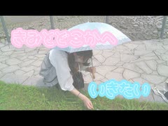 【ぽちゃん】君とどこかへ行きたい/HKT48 【踊ってみた】