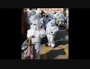 上海の子供達の登校風景