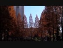 【音楽と景観】東京緑地#19｢光が丘、東側からローズガーデンまで｣