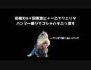 【MH RISE ハンマーど根性実況プレイ】ゴシャハギ。。。お前。。。　回復縛り&防御力6＆一乙でクエリタでクリアを目指す　【ゴシャハギ編】
