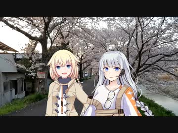 【CeVIO AI散歩+A.I.VOICE散歩】ONEとあかりのみち、さんぽ。単発「さくらの、トンネル、みち、さんぽ。」【第二回10秒動画祭】