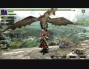 【初実況】MHXX part24