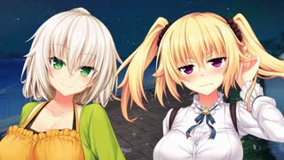 【実況】人生で初めてｴﾛｹﾞをやる#13-2【ノラとと】