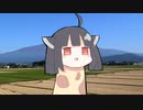 東北の生態系【第二回10秒動画祭】