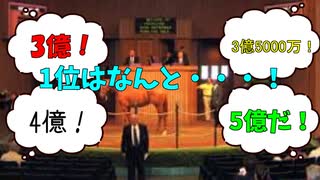 【最高額は〇億円！】セレクトセールの歴代高額馬ベスト10【ゆっくり競馬解説】