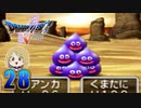 【DQ5】初見でわくわく勇者する！【28】
