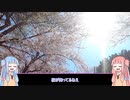 【第二回10秒動画祭】吉野の桜吹雪【VOICEROID劇場】