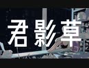君影草 / 55号線 feat.初音ミク