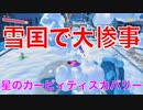 【カービィ】雪国で大惨事！？『星のカービィディスカバリー』Part.15