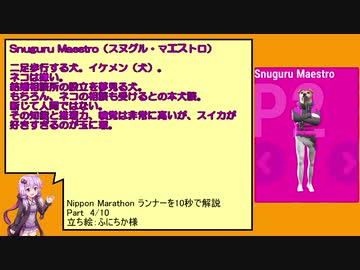 【Nippon Marathon】ニッポンマラソンランナーを１０秒で解説 Part 4/10