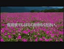 ｸﾁｭﾝｯ【約3分耐久】