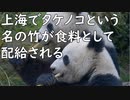 上海で「タケノコという名の竹」が食料として配給された模様…食べるの無理じゃね？／契約者減少に転じたNetflixが怪しすぎる新プランを検討中、金を払ってまで広告を見させられるのか？