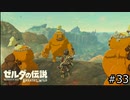 サクッとBotW【ゼルダの伝説BotW実況】#33