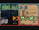 ［底の無い］モンスターハンター2dos実況part3[コップ]