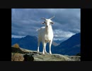 【オリジナル曲】Goat