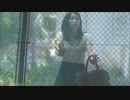 フェンス越しのお姉さんに絡まれたｗ