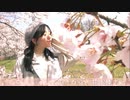 【おひる】さようなら、花泥棒さん　踊ってみた