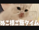 #26 クロ氏とペロ氏のご飯タイム Dinner tim #ASMR