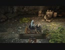 【ELDEN RING】発売日からトロコンするまで【実況】 part22