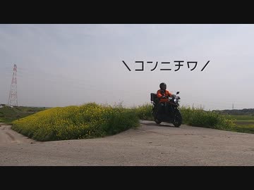 【第二回10秒動画祭】あ、あれって○○○○○？○○○ですよ！