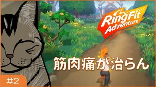 【リングフィット】ももの付け根あたりが痛い【稲津ちらと】