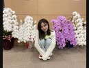 西川あやの おいでよ！クリエイティ部2/2(2022年04月21日)【入山章栄&中田花奈】