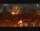 【初実況】MHXX part25