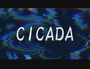 CICADA / flower