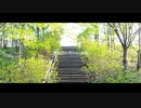 今は泣いていいかな - feat. IA