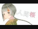 人間桜　  /　 feat.知声